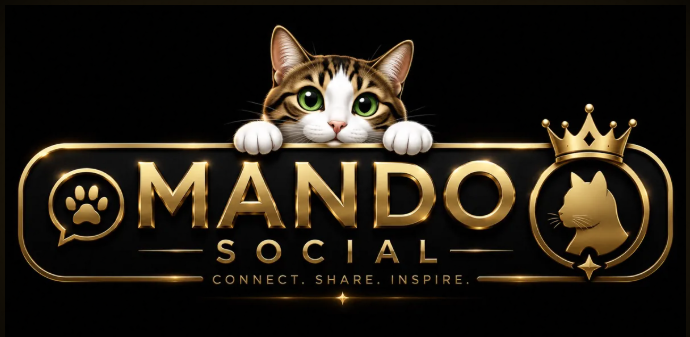 Mando Social logo